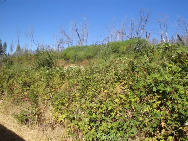 Berry Creek, CA 95916,0 Meadow LN