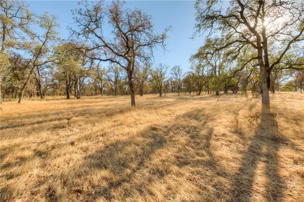 Oroville, CA 95966,0 Rodmore
