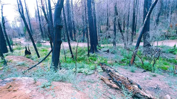 69 Kaelin RD, Berry Creek, CA 95916