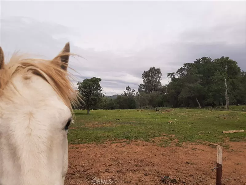 43 Bangor Trail, Bangor, CA 96117