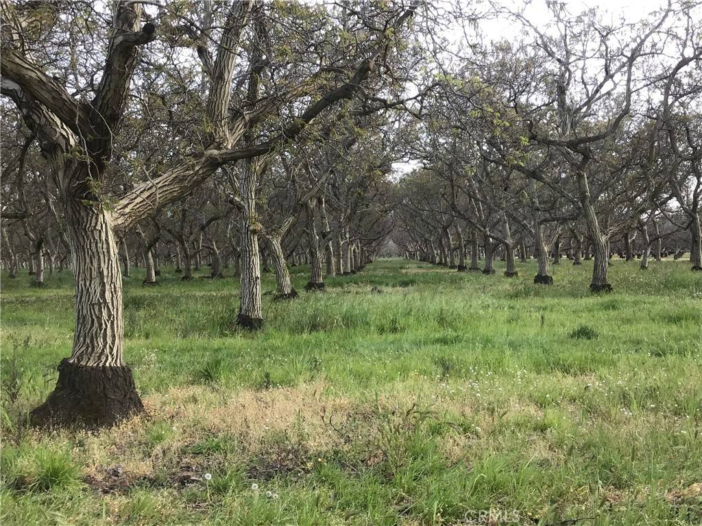 0 Larkin, Biggs, CA 95917