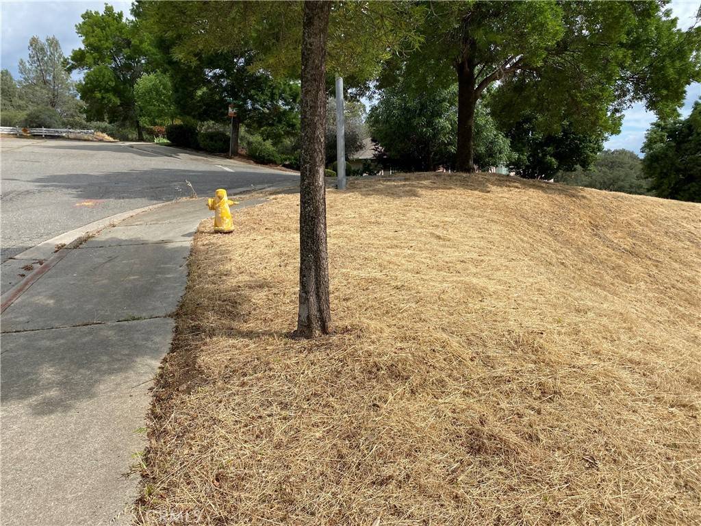 Oroville, CA 95966,0 Butte Woods Drive
