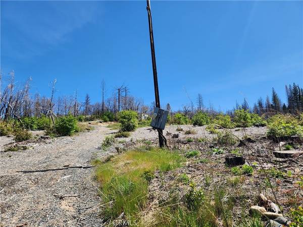 Berry Creek, CA 95916,2175 Bald Rock RD