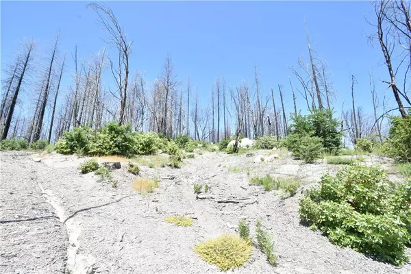 Berry Creek, CA 95916,114 Oak DR