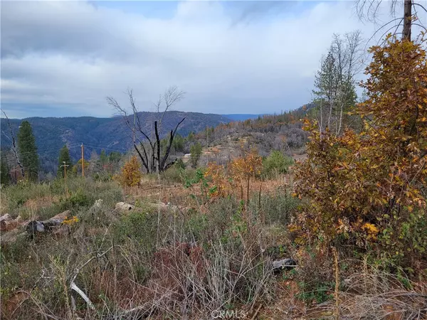 Berry Creek, CA 95916,0 Oro Quincy Hwy and Bald Rock Road