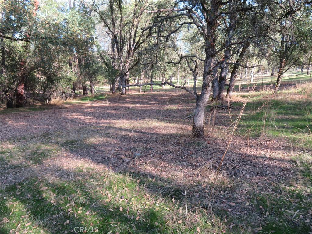 Oroville, CA 95966,3465 Foothill BLVD