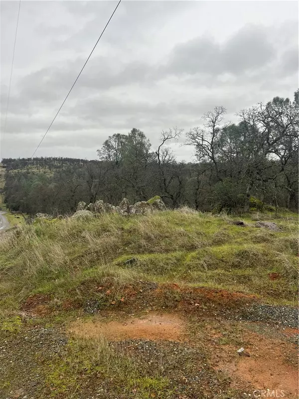 Oroville, CA 95966,0 Overhead DR