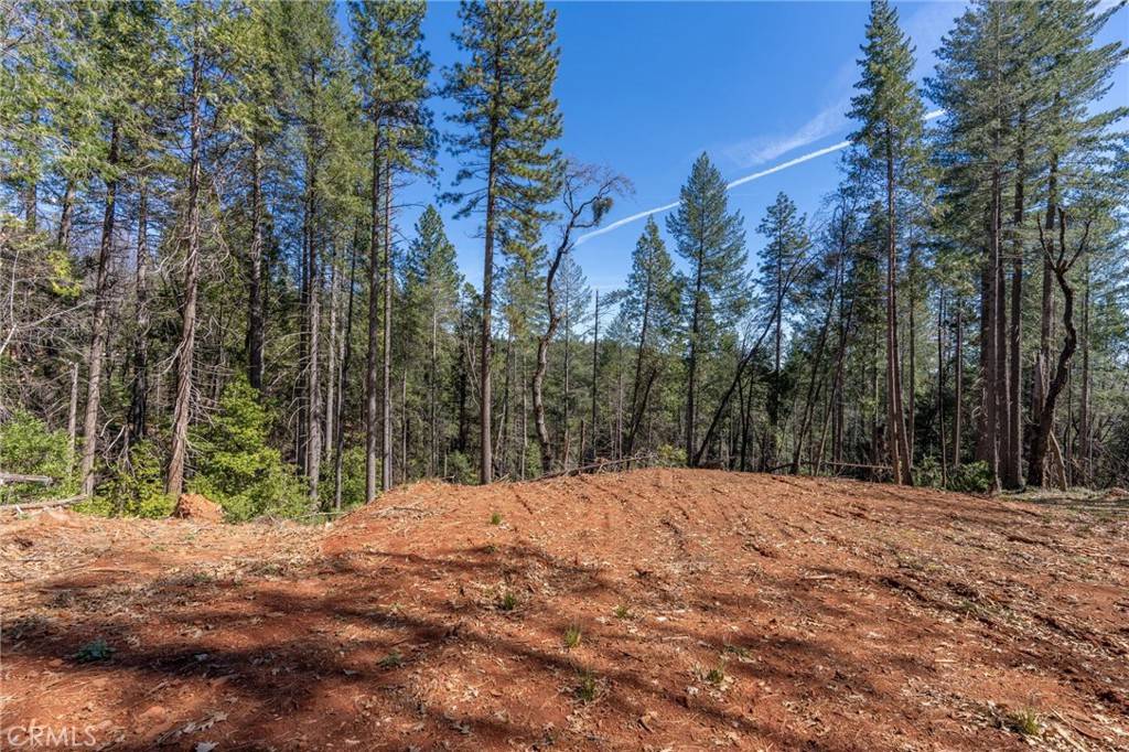 Oroville, CA 95966,19425 Forbestown RD