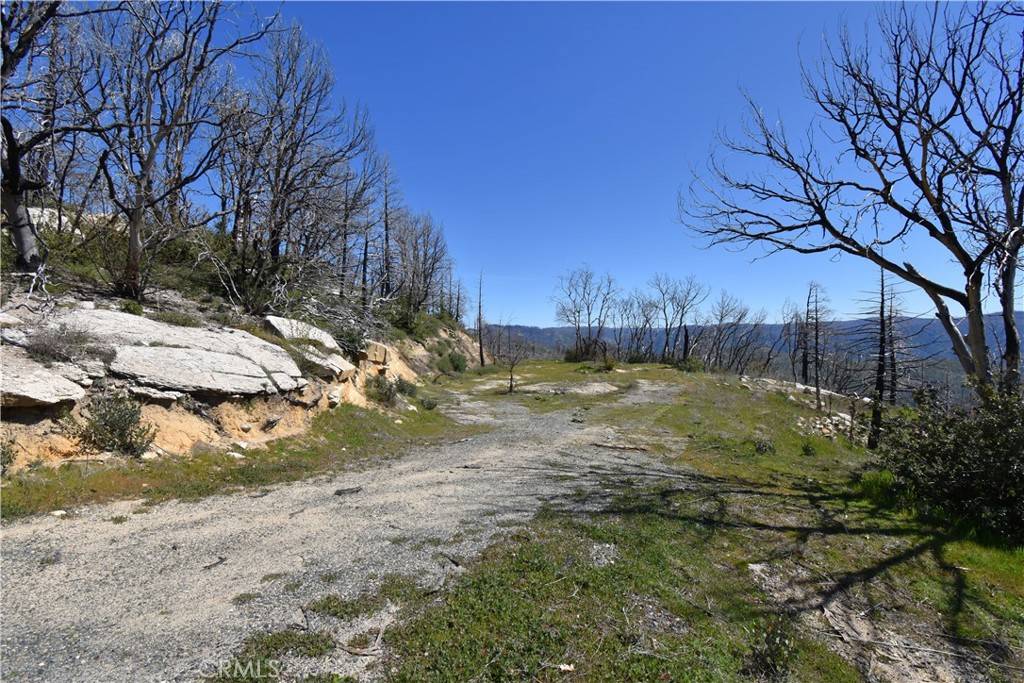 Berry Creek, CA 95916,151 Tipsoo Peak RD