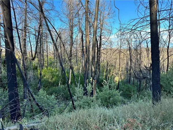 Berry Creek, CA 95916,0 Seminole