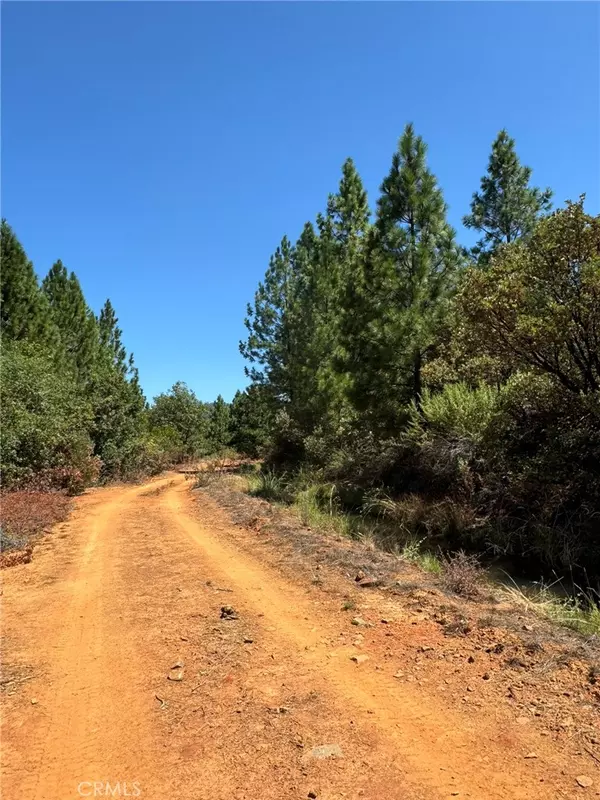 Dobbins, CA 95935,9652 Marysville RD
