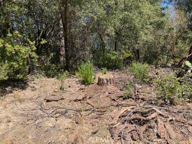 Oroville, CA 95966,10 Broken Springs RD