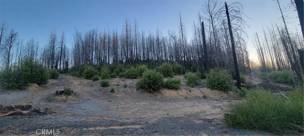 Berry Creek, CA 95916,0 Bald Rock