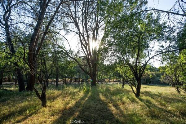Oroville, CA 95966,0 Pinedale AVE