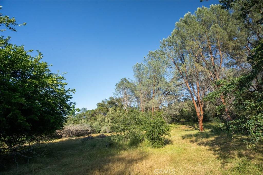 Oroville, CA 95966,0 Pinedale AVE