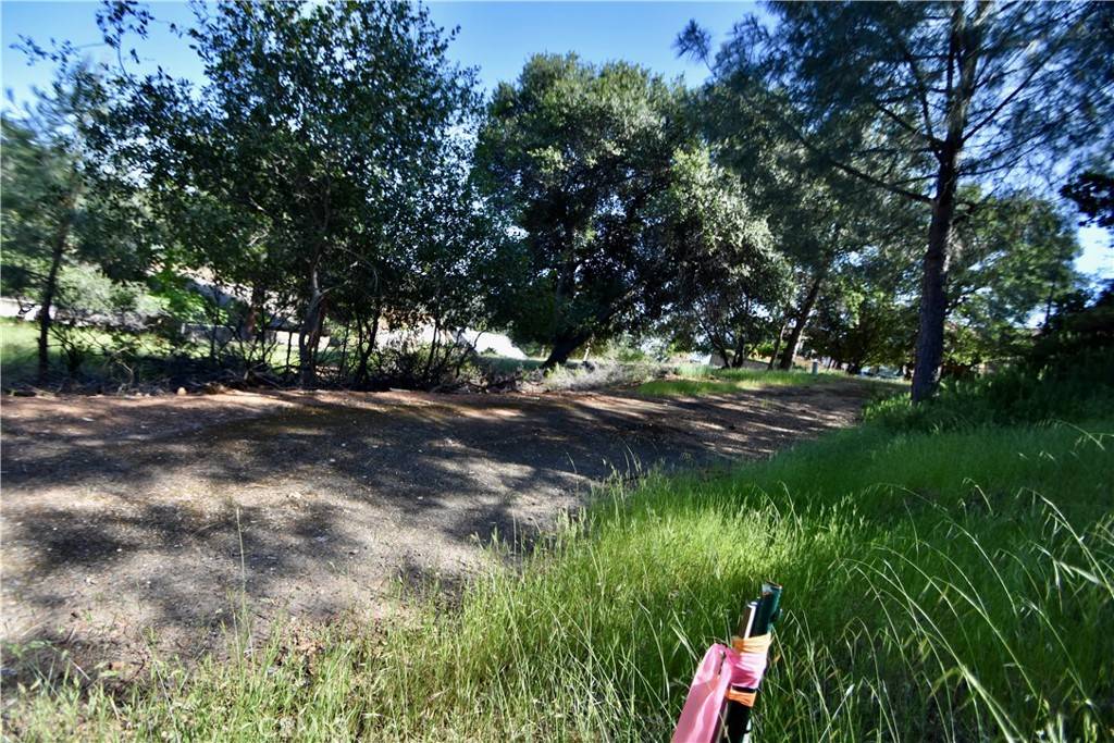 Oroville, CA 95966,6216 Jack Hill DR
