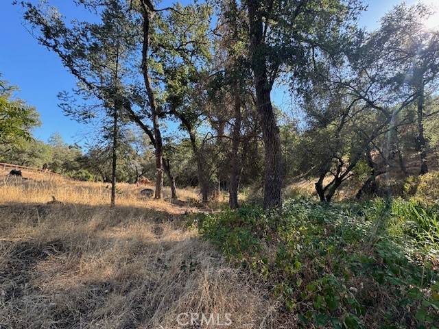 Browns Valley, CA 95918,11214 Peoria RD
