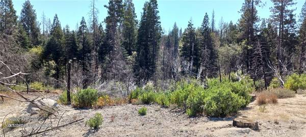 Berry Creek, CA 95916,0 Oak DR