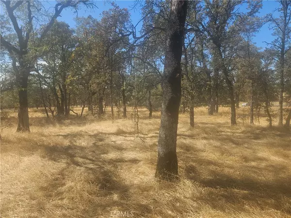 Bangor, CA 95914,0 Oro Bangor
