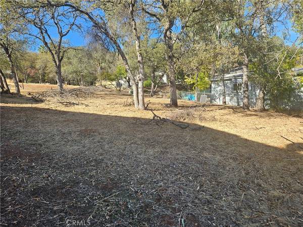 Oroville, CA 95966,590 Lodgeview DR