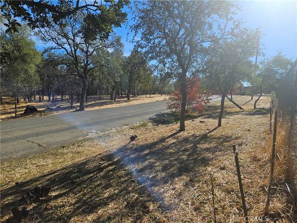 Oroville, CA 95966,590 Lodgeview DR