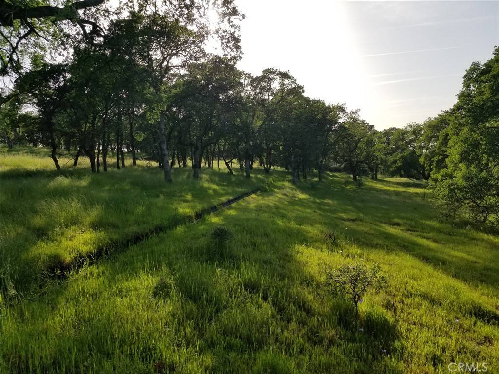 Oroville, CA 95966,0 Whitney CT