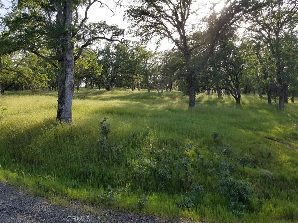 Oroville, CA 95966,0 Whitney CT