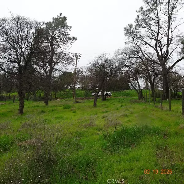 Oroville, CA 95966,0 Long Bar