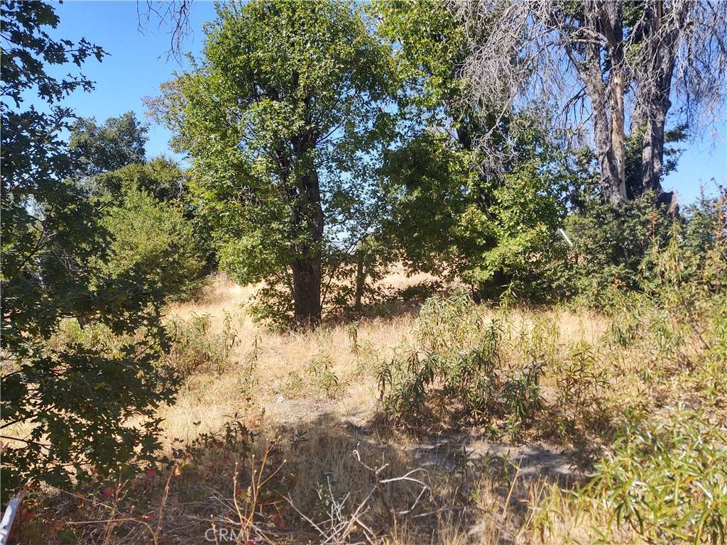 363 Raccoon RD, Berry Creek, CA 95916