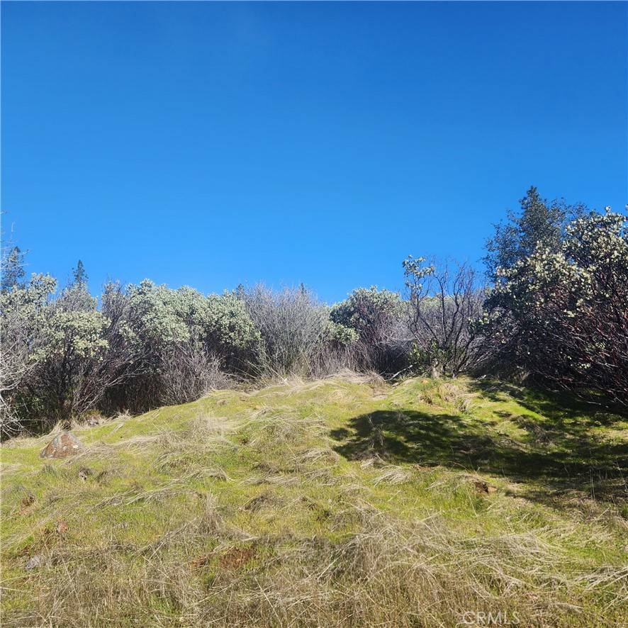 Dobbins, CA 95935,13 Beloved WAY