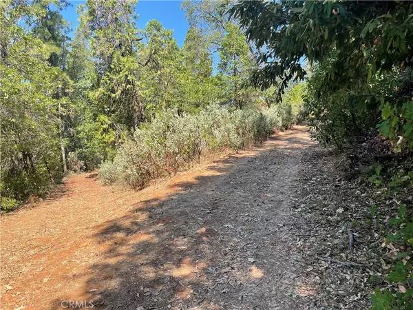 Challenge, CA 95925,0 Forbestown RD