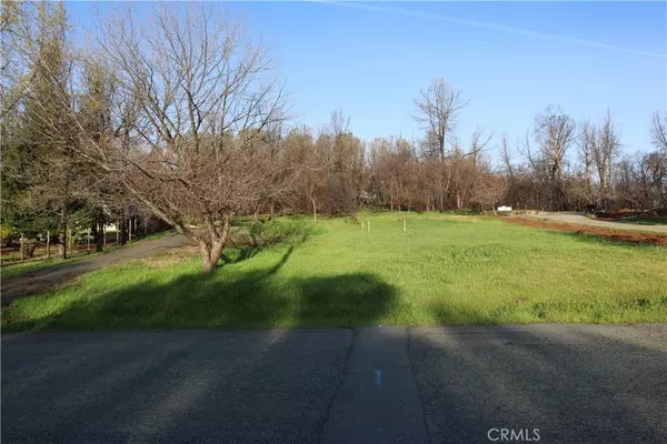 95 Bessie LN, Oroville, CA 95966