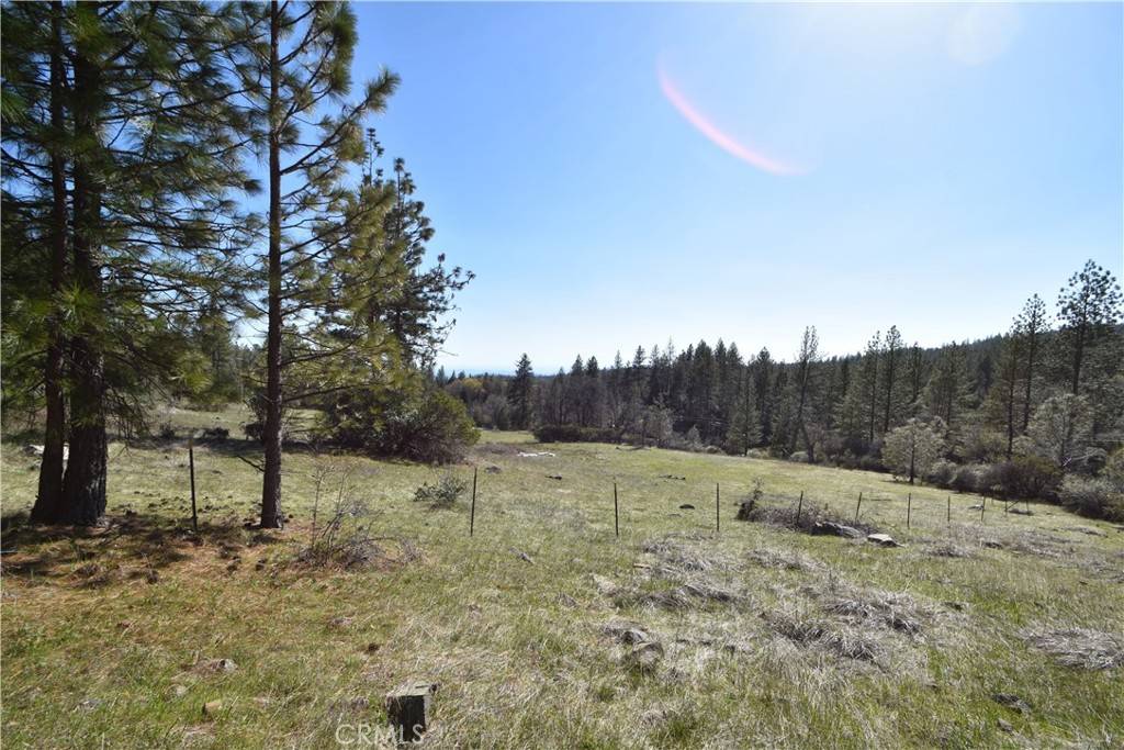 Oroville, CA 95966,0 Provenza DR