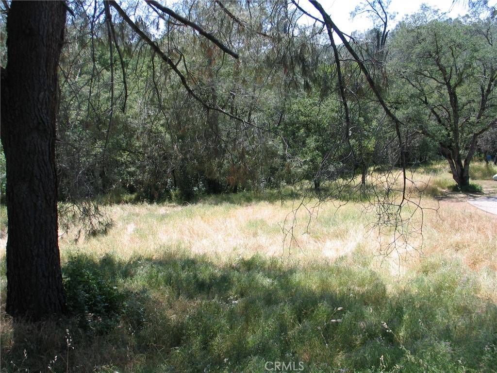 Oroville, CA 95966,211 Lemon Hill DR