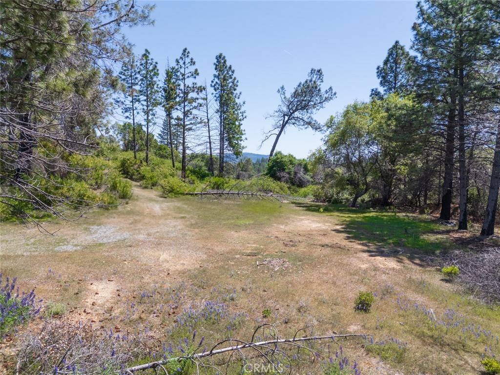 Oroville, CA 95965,3460 Skycrest DR