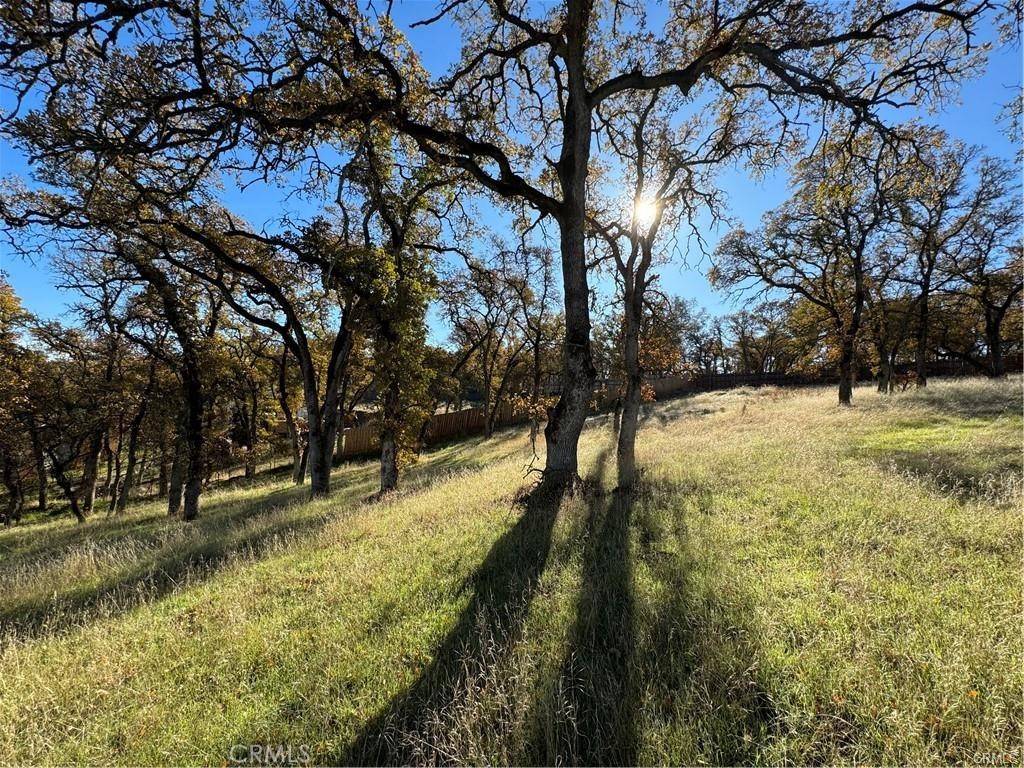 43 Alta Mira LN, Oroville, CA 95966