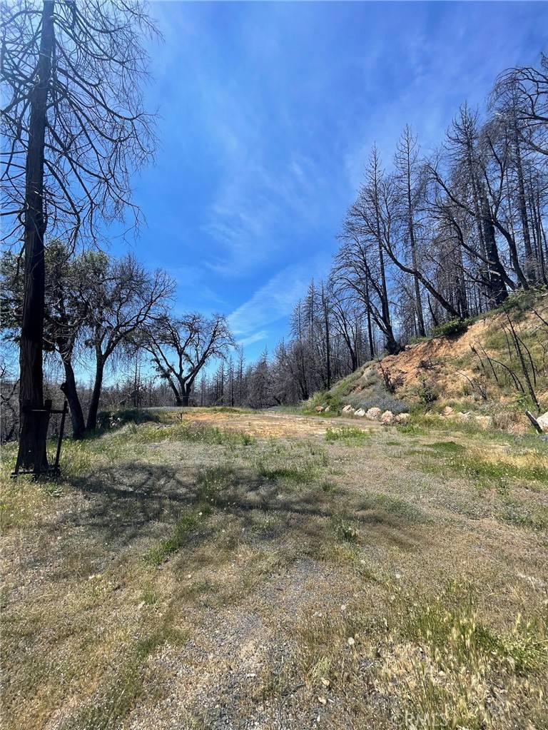Berry Creek, CA 95916,180 Mirage Lake RD