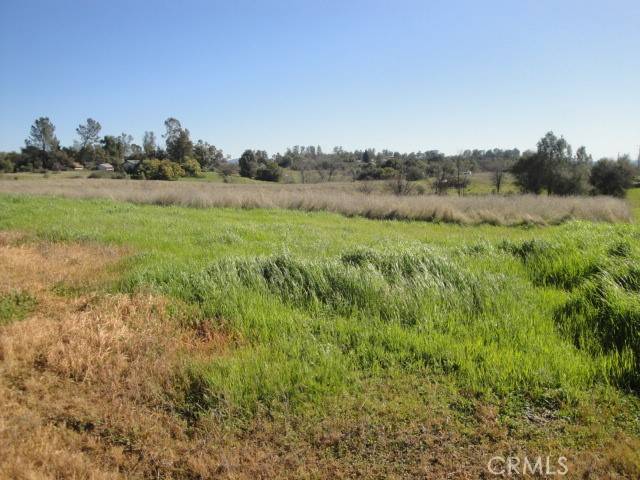 Oroville, CA 95966,129 Misty View WAY