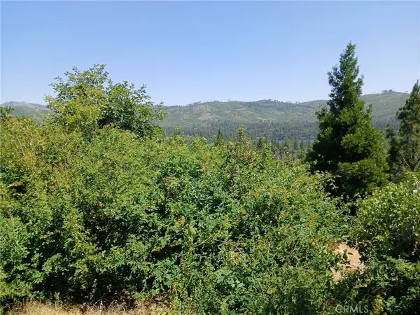 0 Astoria, Concow, CA 95965