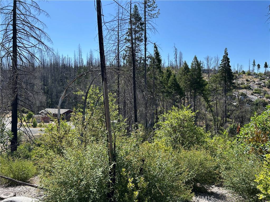 0 Oak DR, Berry Creek, CA 95916