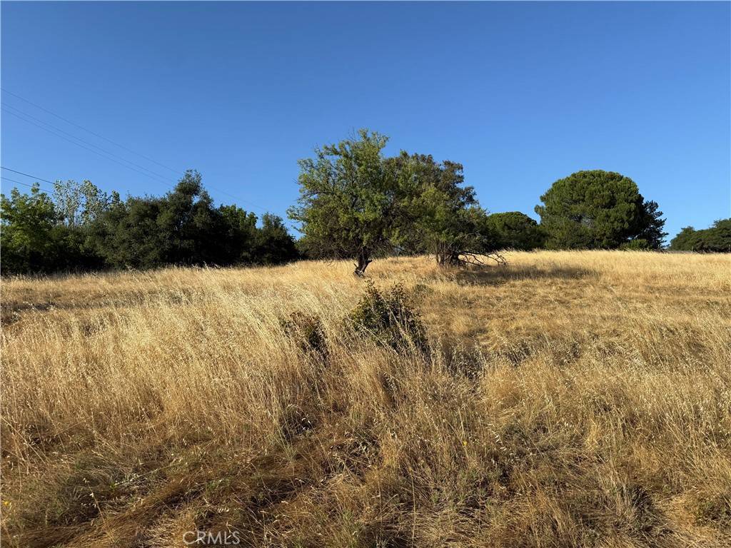 Oroville, CA 95966,0 Skyline BLVD