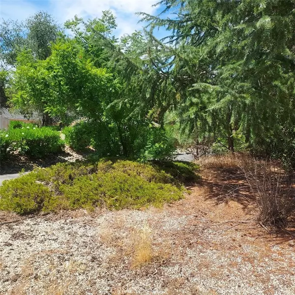 Oroville, CA 95966,226 Rim Canyon Pkwy