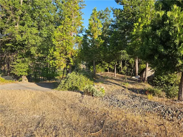 Berry Creek, CA 95916,18 Sand Creek DR