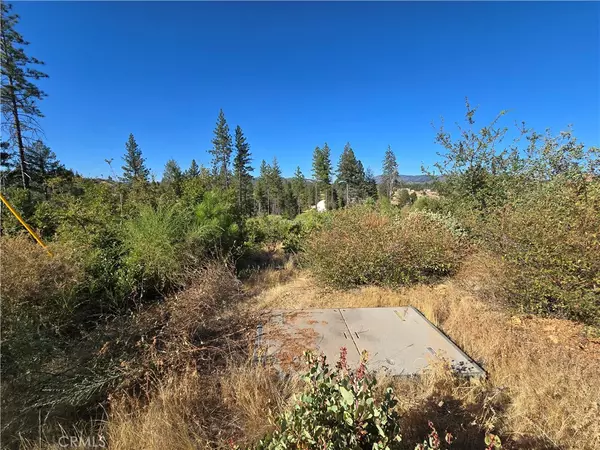 Oroville, CA 95965,11269 Dawn TER