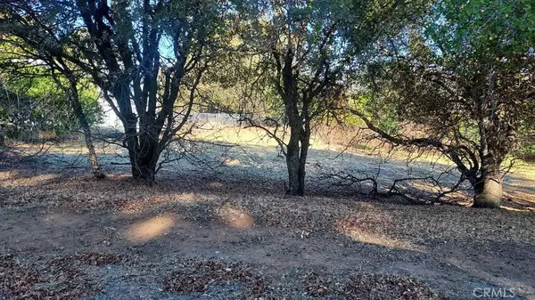 Oroville, CA 95966,494 Kelly Ridge RD