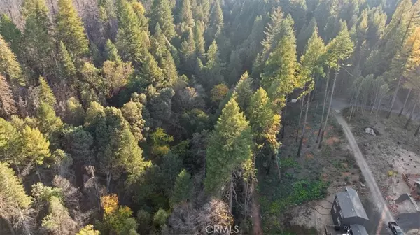 Berry Creek, CA 95916,0 Path in the Woods