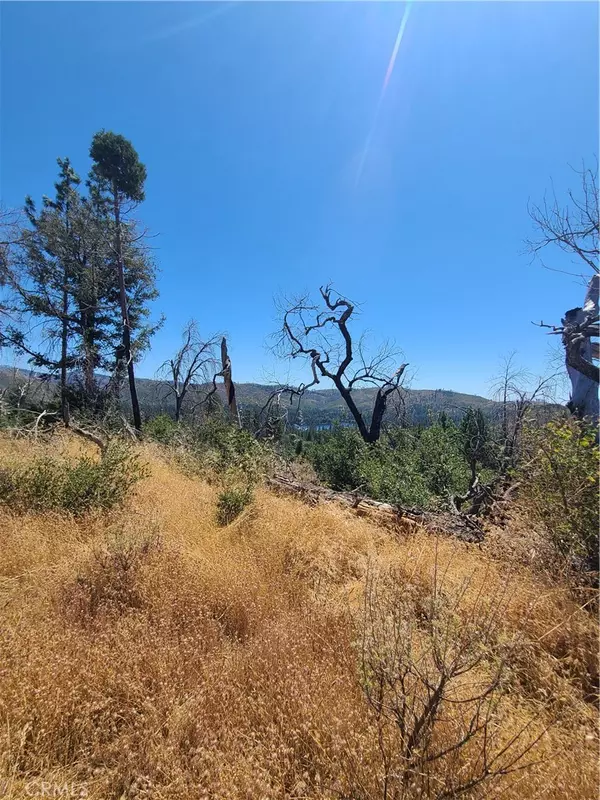 Concow, CA 95965,0 HOG RANCH ROAD