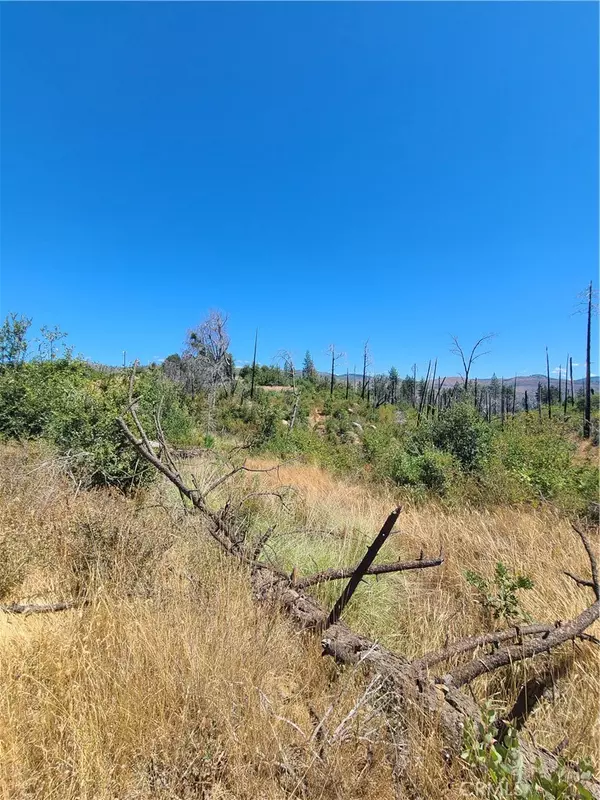 Concow, CA 95965,0 HOG RANCH ROAD