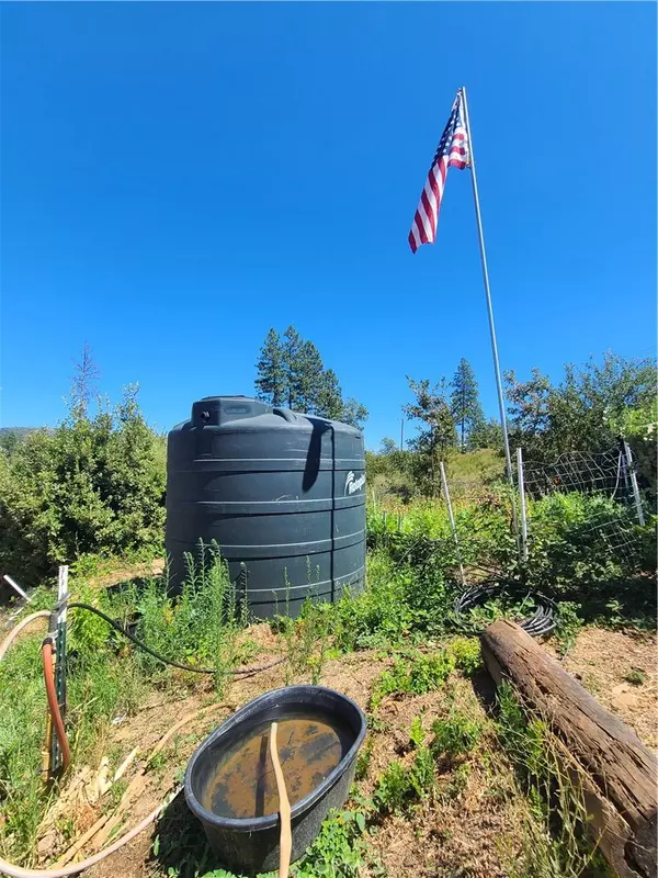 Concow, CA 95965,13338 Hog Ranch