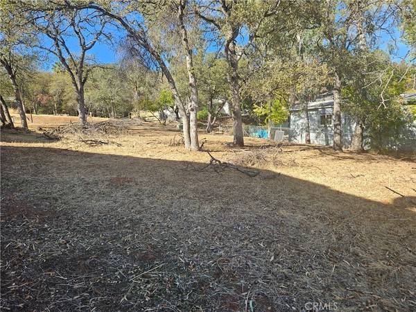 Oroville, CA 95966,590 Lodgeview DR